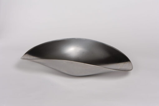 Stainless Steel Scale Scoop