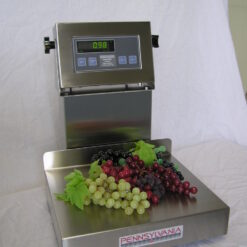 6200 Stainless Steel Bench Scales