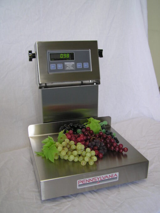 6200 Stainless Steel Bench Scales