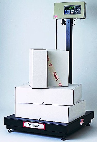 6400 Scale Base