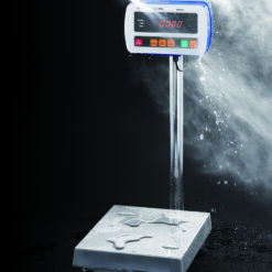SW Series-High Pressure Washdown Scale-NTEP