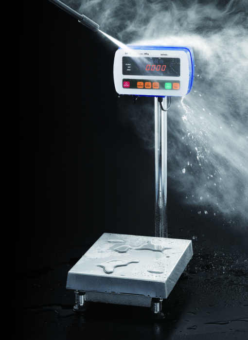 SW Series-High Pressure Washdown Scale-NTEP