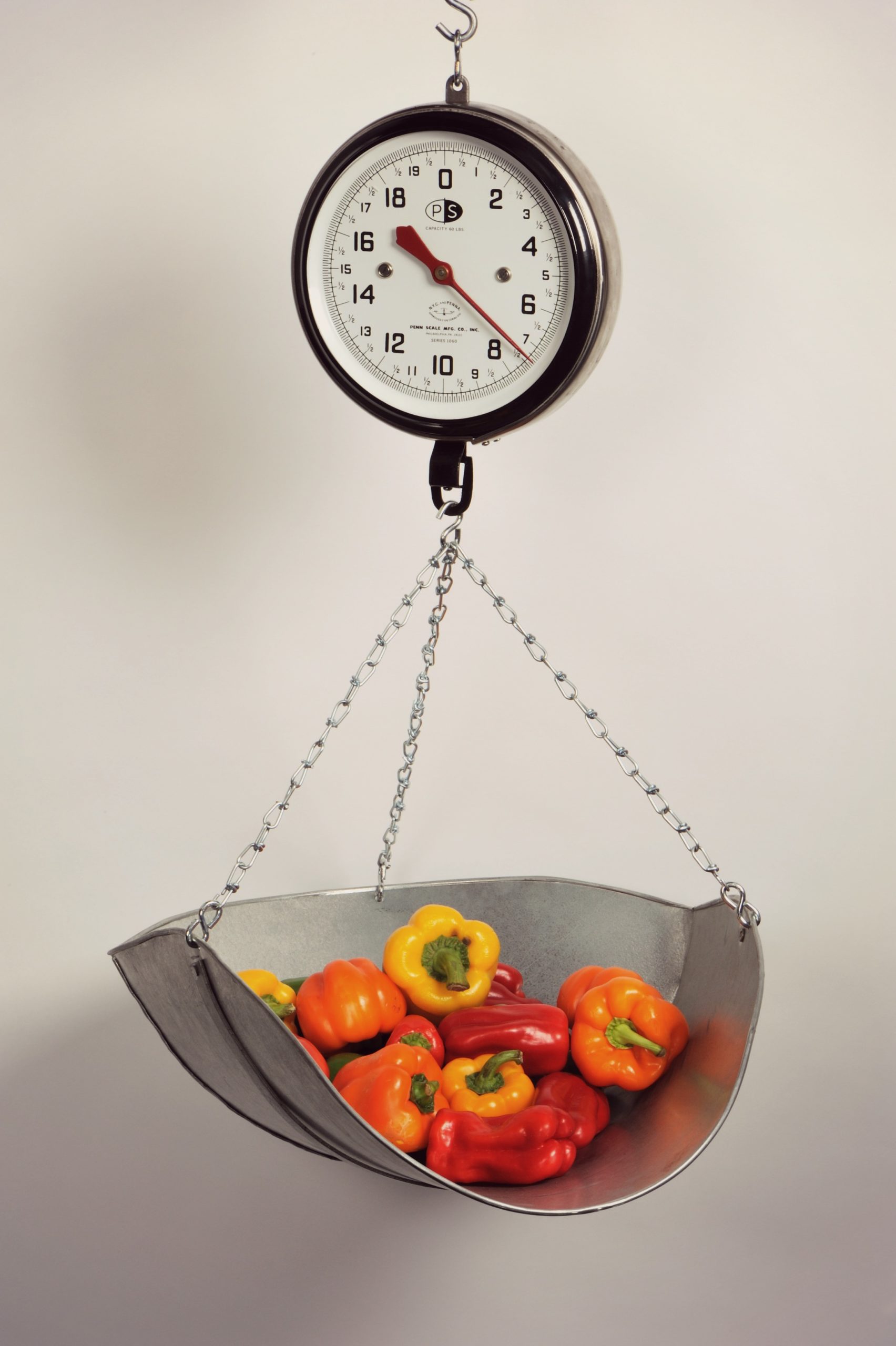 Dual Dial Hanging Scale