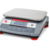 Ranger 3000 Compact Bench Scale