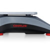Ranger 3000 Compact Bench Scale