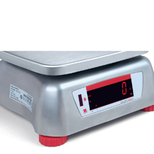 Valor 4000 Compact Bench Scale