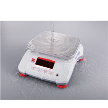 Valor 4000 Compact Bench Scale