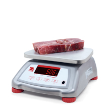 Valor 4000 Compact Bench Scale