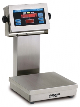 4300-Checkweigh Scale