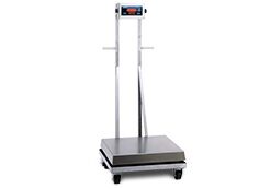 Doran PFS Series - Portable Washdown Floor Scale