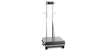 Doran PFS Series - Portable Washdown Floor Scale