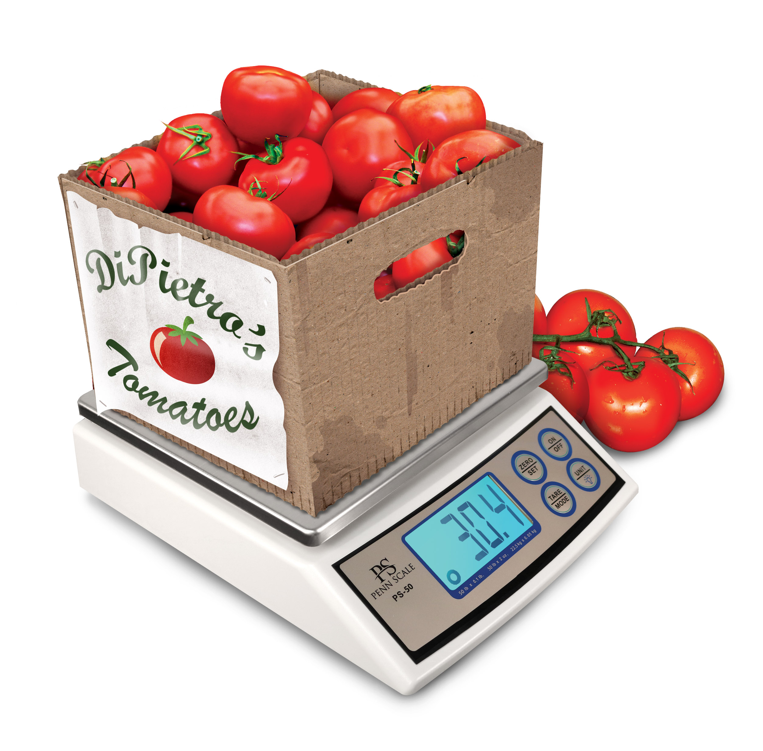 Portion Control Scales - Shop Online