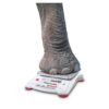 OHAUS ScoutSTX Portable Balance