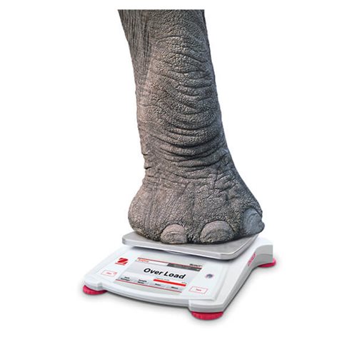 OHAUS ScoutSTX Portable Balance