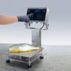 Defender 6000 Washdown Bench Scale